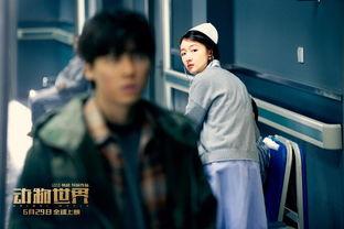 动物世界幕后花絮,镜头背后的精彩瞬间