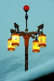 寄托哀思的图片,图片中的深情缅怀