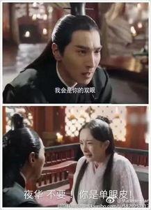 三生三世歌曲搞笑改编,歌曲搞笑改编大集合